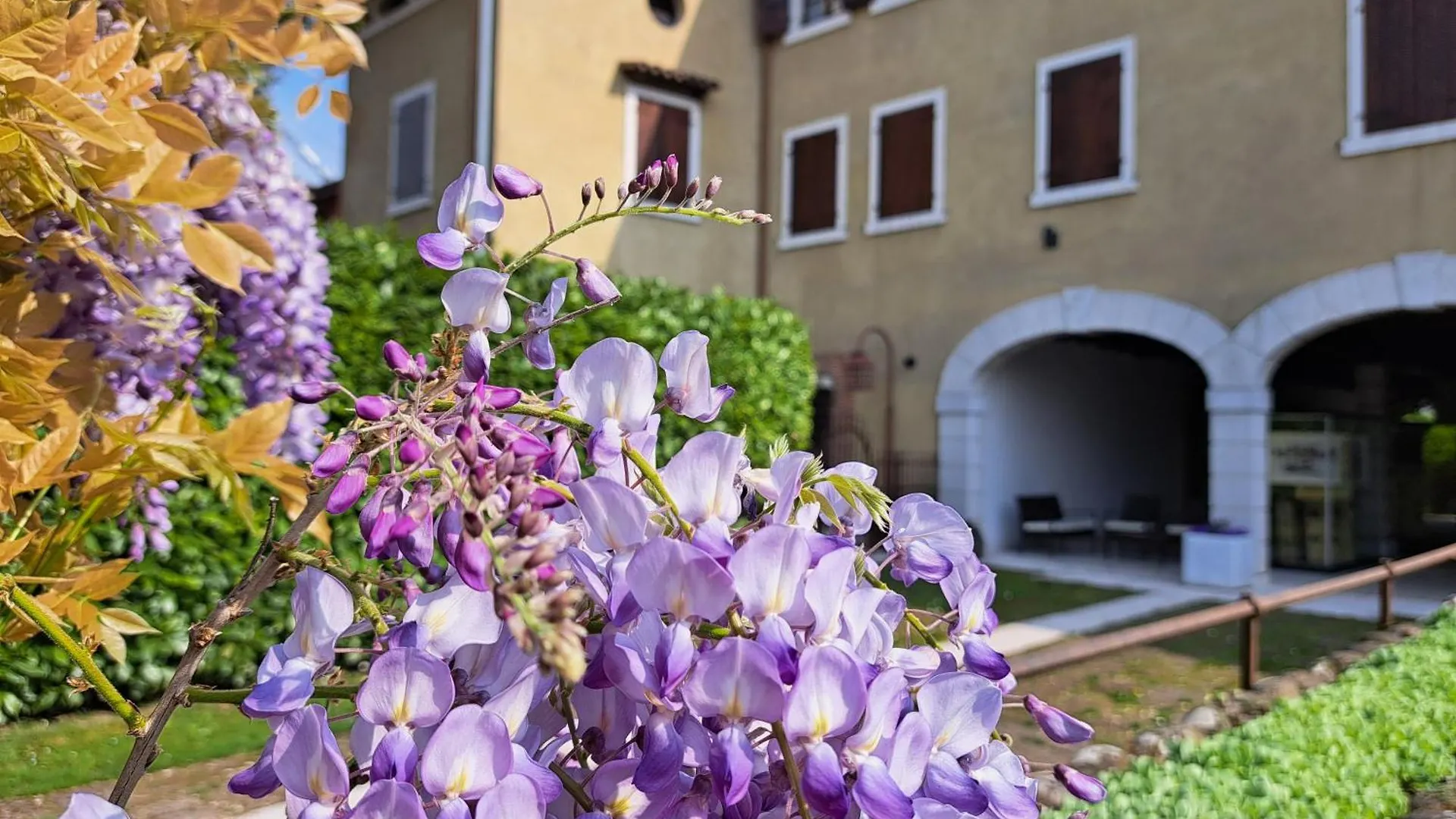 公寓 Corte Violeti La Resela 佩斯坎蒂那